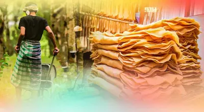 ครม.ไฟเขียว 2.76 หมื่นล้าน ประกันรายได้ยางพารา เฟส 4 ควบสินเชื่อ