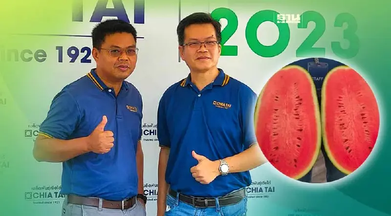 “เจียไต๋” จัดงานแฟร์ใหญ่ ครั้งแรกรอบ 3 ปี (คลิป)