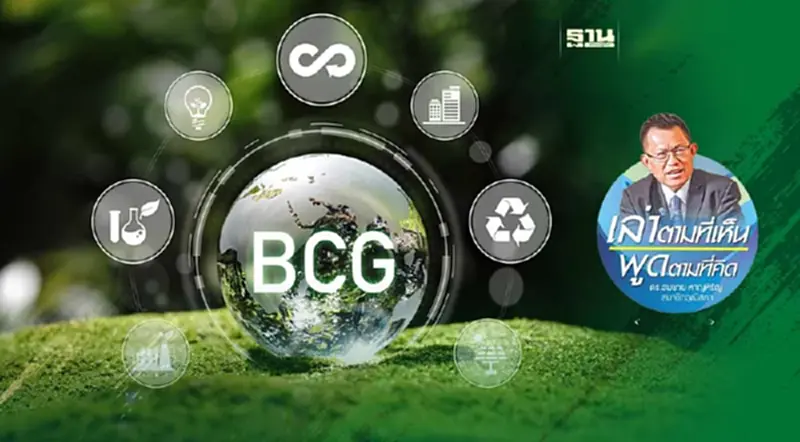 "BCG: มวยวัด หมัดไม่หนัก" "BCG: มวยวัด หมัดไม่หนัก"