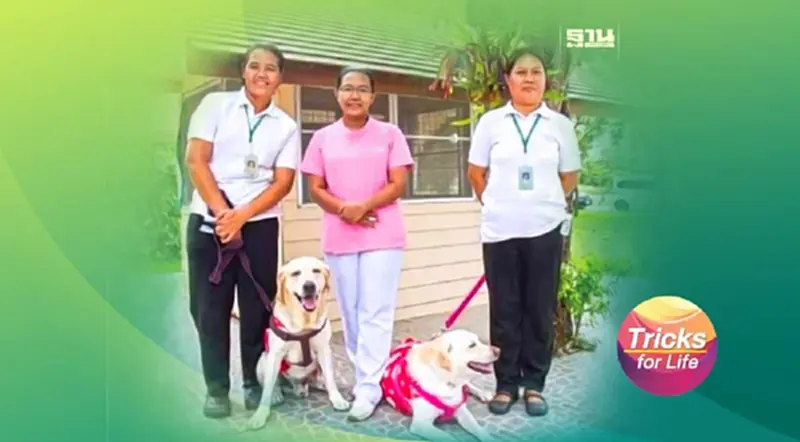 ‘บัดดี้-ข้าวปั้น’ Dog Therapy ผู้ป่วยมะเร็งระยะท้าย ‘บัดดี้-ข้าวปั้น’ Dog Therapy ผู้ป่วยมะเร็งระยะท้าย