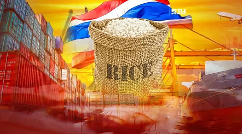 อานิสงส์"บาทอ่อน"ดันส่งออกข้าวไทยเดือนม.ค.พุ่ง อานิสงส์"บาทอ่อน"ดันส่งออกข้าวไทยเดือนม.ค.พุ่ง