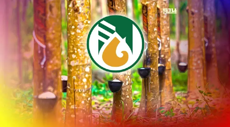 ชวนสวนยางอ่วม ระเบียบ กยท.ฉบับใหม่พ่นพิษ โครงการถูกตีกลับระนาว