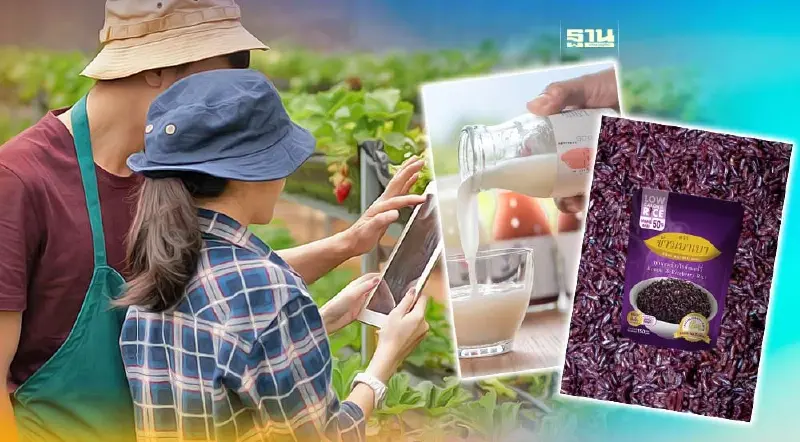 พาณิชย์ ขนสินค้านวัตกรรมลุยตลาดตะวันออกกลาง