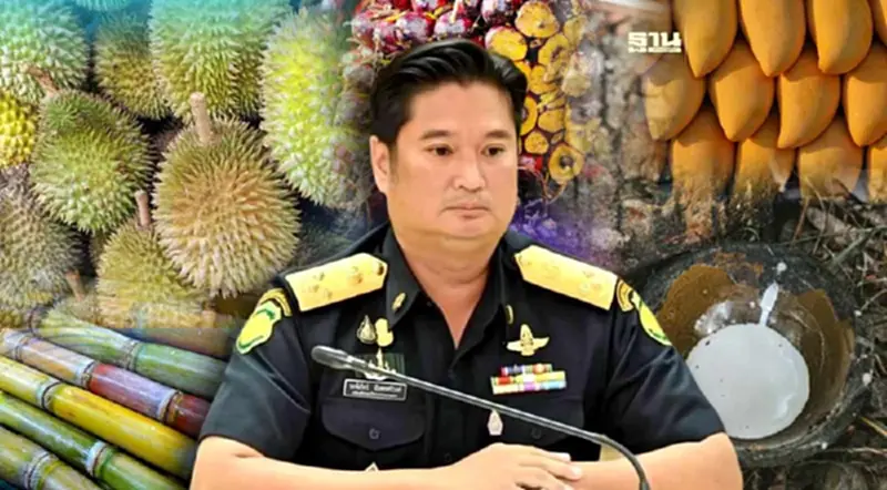 นำร่อง “พืชเศรษฐกิจ” ลุยปั๊มยอดขายคาร์บอนเครดิต นำร่อง “พืชเศรษฐกิจ” ลุยปั๊มยอดขายคาร์บอนเครดิต