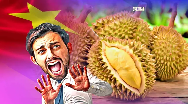 ทุเรียนเวียดนาม ปรอทแตกราคาพุ่ง 3 เท่า