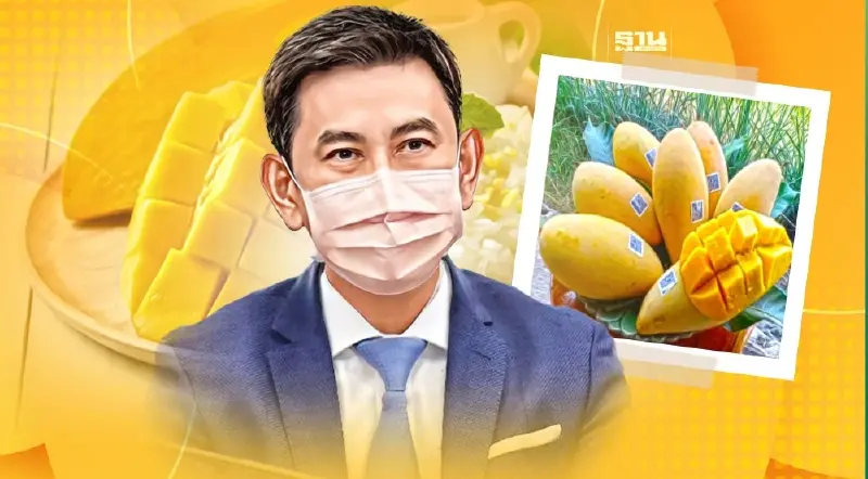 กรมทรัพย์สินฯเร่งดัน Soft Power ไทยต่อเนื่องชี้มีช่องว่างให้สินค้าไทย กรมทรัพย์สินฯเร่งดัน Soft Power ไทยต่อเนื่องชี้มีช่องว่างให้สินค้าไทย