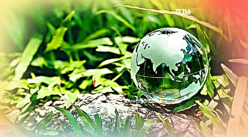 รู้จัก "Carbon Neutrality” กับ “Net Zero emissions” ต่างกันอย่างไร? รู้จัก "Carbon Neutrality” กับ “Net Zero emissions” ต่างกันอย่างไร?
