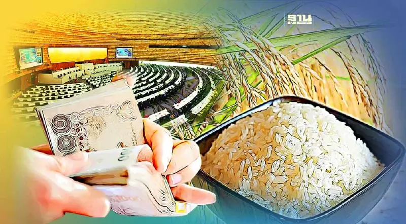 รัฐบาลเคาะประกันภัยข้าวนาปี 1,647 ล้าน ทิ้งทวนก่อนยุบสภา