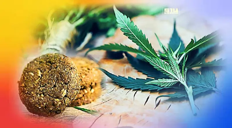 เตือน!ระวัง "คุกกี้กัญชา" ลักลอบนำเข้าไร้ อย. สาร THC สูงถึง 600 มก. เตือน!ระวัง "คุกกี้กัญชา" ลักลอบนำเข้าไร้ อย. สาร THC สูงถึง 600 มก.