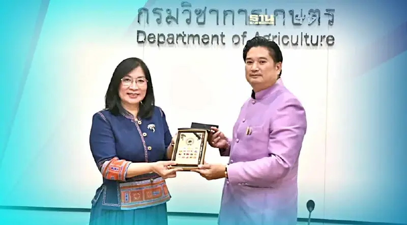 ขอ ICC ช่วยตีฆ้อง มะพร้าวไทยปลอดใช้แรงงานลิง