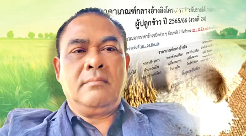 ตรวจสอบเงิน "ประกันรายได้เกษตรกร" ส่วนต่าง "ประกันราคาข้าว" งวดที่ 24 ตรวจสอบเงิน "ประกันรายได้เกษตรกร" ส่วนต่าง "ประกันราคาข้าว" งวดที่ 24
