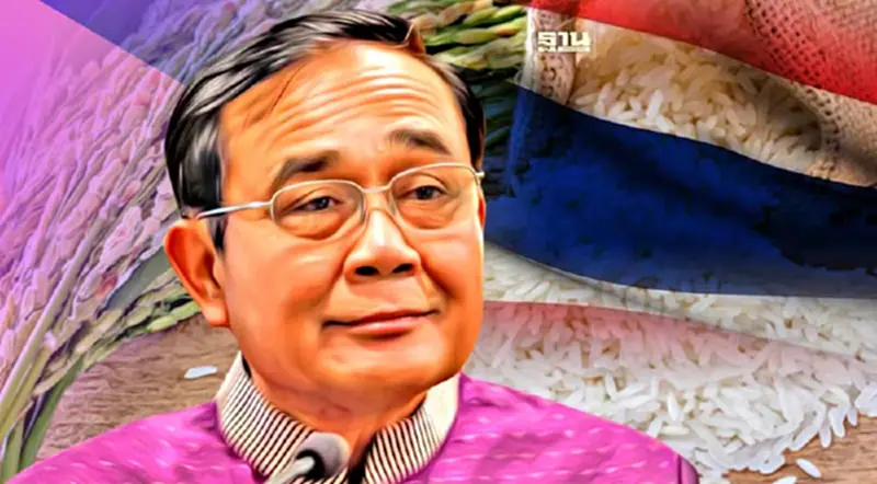 นายกฯ สั่งเร่งปกป้องคุ้มครองสิทธิ ทรัพย์สินทางปัญญาข้าวหอมมะลิไทย นายกฯ สั่งเร่งปกป้องคุ้มครองสิทธิ ทรัพย์สินทางปัญญาข้าวหอมมะลิไทย