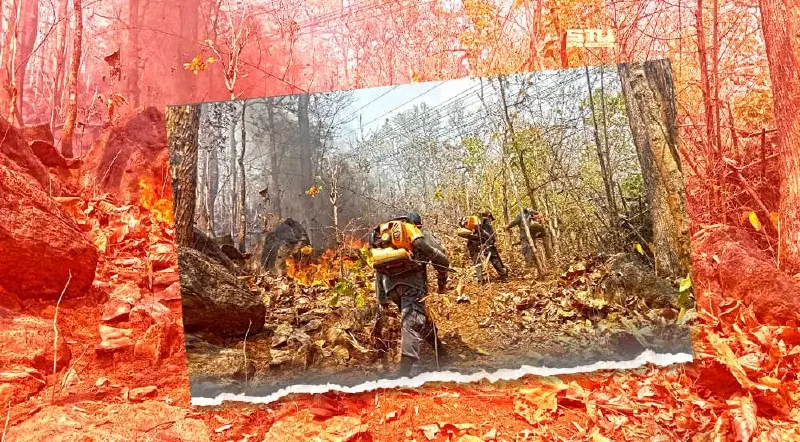 ชาวอ.แม่สายอ่วม ฝุ่น PM 2.5 พุ่งหนัก หลังเกิดเหตุไฟป่า