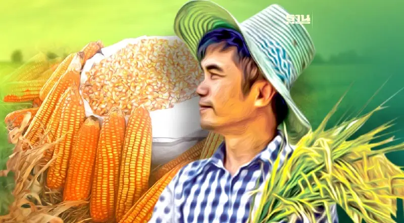 ประกันรายได้ข้าวโพดเลี้ยงสัตว์ งวดที่1-5 ไม่จ่ายส่วนต่าง