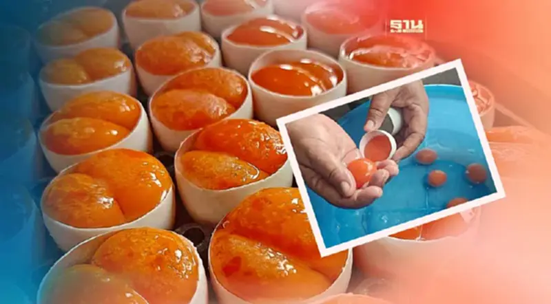 พาณิชย์ดัน“ไข่ครอบสงขลา”ขึ้น GI ย้ำช่วยเพิ่มมูลค่าให้สินค้าชุมชน พาณิชย์ดัน“ไข่ครอบสงขลา”ขึ้น GI ย้ำช่วยเพิ่มมูลค่าให้สินค้าชุมชน