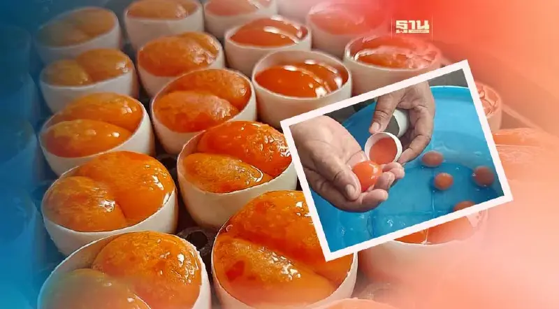 พาณิชย์ดัน“ไข่ครอบสงขลา”ขึ้น GI ย้ำช่วยเพิ่มมูลค่าให้สินค้าชุมชน