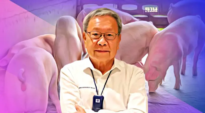 “คนเลี้ยงหมู”กับนโยบายพรรคการเมืองที่อยากได้ เทคะแนนปราบ “หมูเถื่อน” “คนเลี้ยงหมู”กับนโยบายพรรคการเมืองที่อยากได้ เทคะแนนปราบ “หมูเถื่อน”
