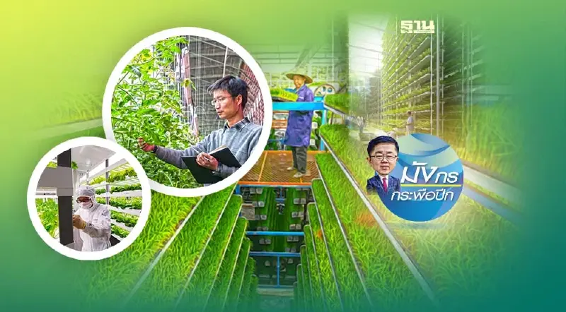 เมื่อจีนเดินหน้ายกระดับความมั่นคงด้านอาหาร (จบ)