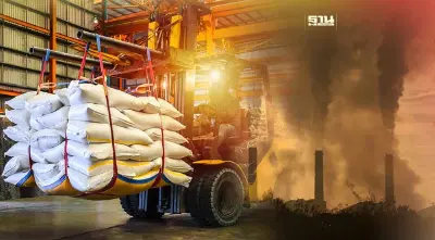 ครม.จัดงบ 875 ล้าน ยกระดับผลิตข้าวไทย ลดปล่อยก๊าซเรือนกระจก