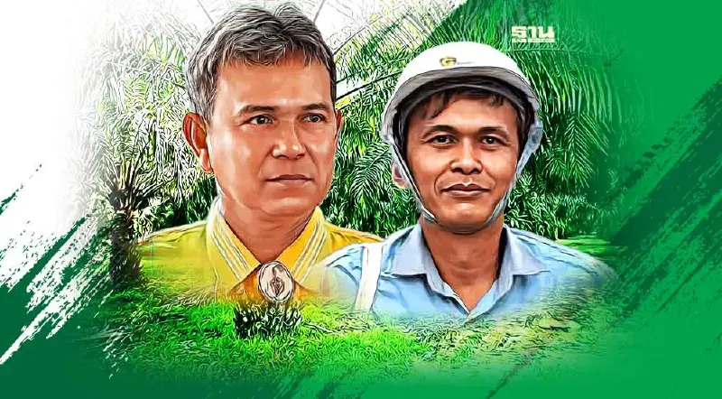 “โครงสร้างราคาปาล์ม” แท้งอีกรอบ หลัง สศอ.แจงยังไม่มีความจำเป็น