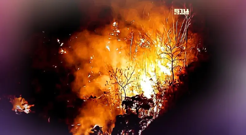 “อรรถพล” สั่งเจ้าหน้าที่ทิ้งน้ำสกัดไฟ หวั่นลุกลามอุทยานแห่งชาติเขาใหญ่ “อรรถพล” สั่งเจ้าหน้าที่ทิ้งน้ำสกัดไฟ หวั่นลุกลามอุทยานแห่งชาติเขาใหญ่