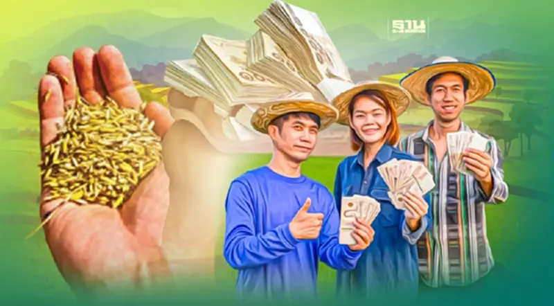 “ประกันรายได้ข้าว” 4 ปี รัฐควัก 4.6 แสนล้าน “ประกันรายได้ข้าว” 4 ปี รัฐควัก 4.6 แสนล้าน