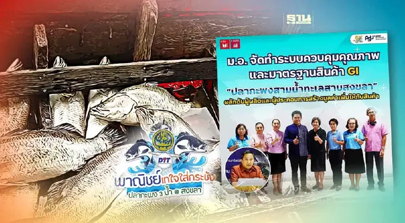 "ปลากะพง3น้ำทะเลสาบสงขลา"มีระบบคุมคุณภาพ-มาตรฐานสินค้าGIแล้ว