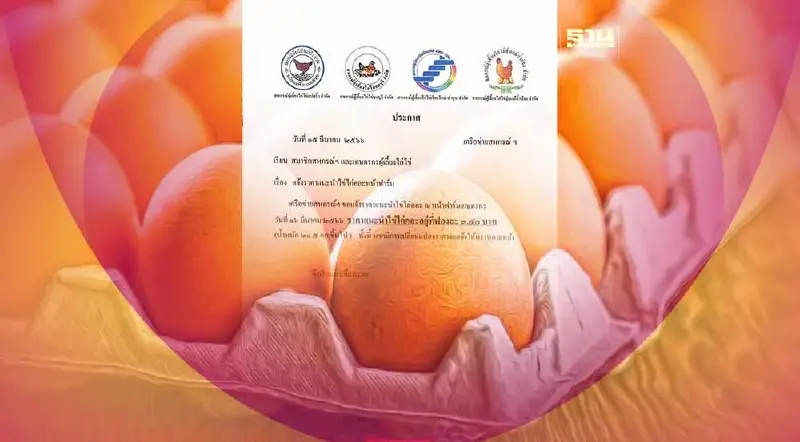 ส่งออกไต้หวัน แผลงฤทธิ์ ดันไข่ไก่ปรับราคาขึ้น (คลิป)