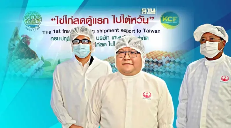 ล็อตแรก ไทยส่งออก "ไข่ไก่" ไปไต้หวัน 3.2 แสนฟอง