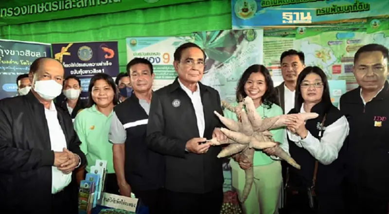 มหกรรมยางพาราและพืชเศรษฐกิจ EEC 2023 มหกรรมยางพาราและพืชเศรษฐกิจ EEC 2023