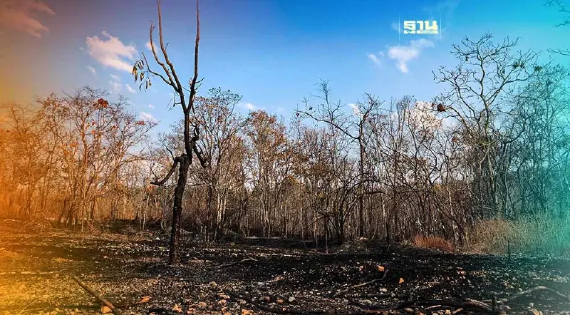 รู้ยัง!เผาป่าในเขตอุทยาน จำคุก 4-20 ปี ปรับสูงสุด 2 ล้าน