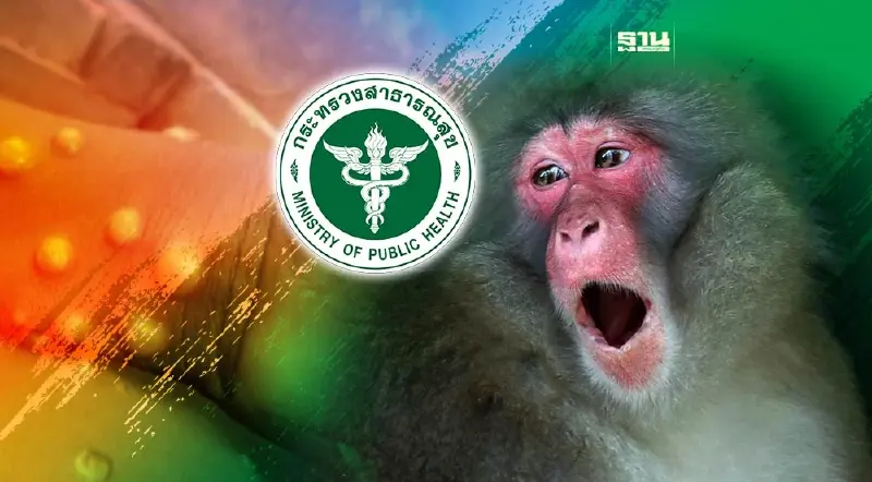 สาธารณสุข คุมเข้มเฝ้าระวัง "โรคฝีดาษวานร" หลังพบผู้ป่วยเพิ่ม 3 ราย