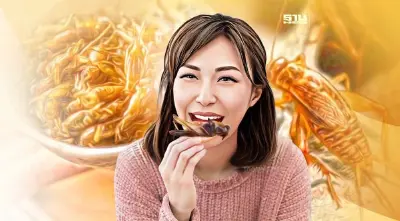 "จิ้งหรีด" โปรตีนอาหารแห่งอนาคต ตลาดแมลงยังโตอย่างต่อเนื่อง