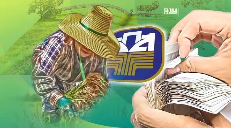 จ่ายส่วนต่างประกันรายได้ข้าว งวดที่ 24  มาแล้ว
