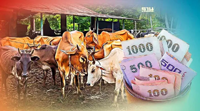 วิธีเข้าร่วมโครงการ “โคล้านครอบครัว” 2566 เช็คเงื่อนไข วงเงินกู้ที่นี่