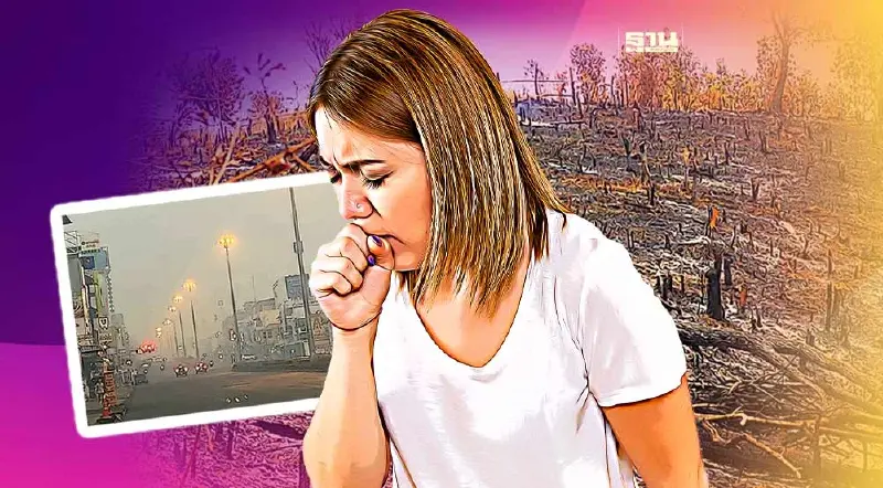 15 ปี ฝุ่น PM 2.5-ไฟป่าภาคเหนือ กับการแก้ปัญหาที่ไปไม่ถึงไหน