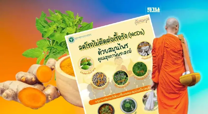 กรมการแพทย์แผนไทยฯแนะ 5 เมนูสมุนไพร ถวายพระสงฆ์ วันมาฆบูชา