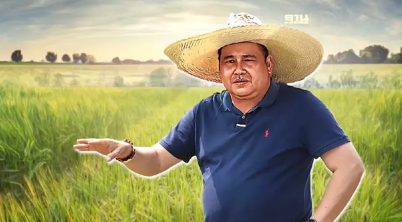 กรมการข้าว​ ผลักดันจุลินทรีย์ "สาหร่ายแกมเขียว" ช่วยเพิ่มผลผลิตต่อไร่