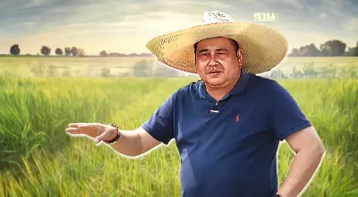 กรมการข้าว​ ผลักดันจุลินทรีย์ "สาหร่ายแกมเขียว" ช่วยเพิ่มผลผลิตต่อไร่