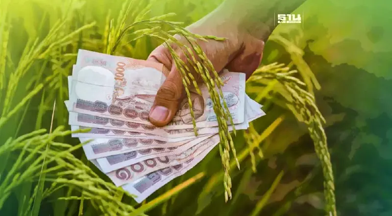 "จุรินทร์"แจ้งจ่ายส่วนต่างข้าวงวด 21 เงินเข้า 9 มี.ค.นี้ ชาวนารีบเช็ค