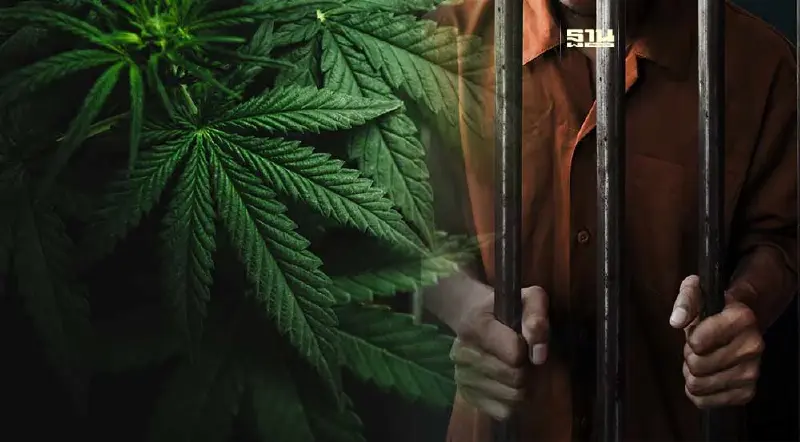 สิงคโปร์เตรียมประหารนักโทษด้วยการแขวนคอ ฐานครอบครองกัญชา