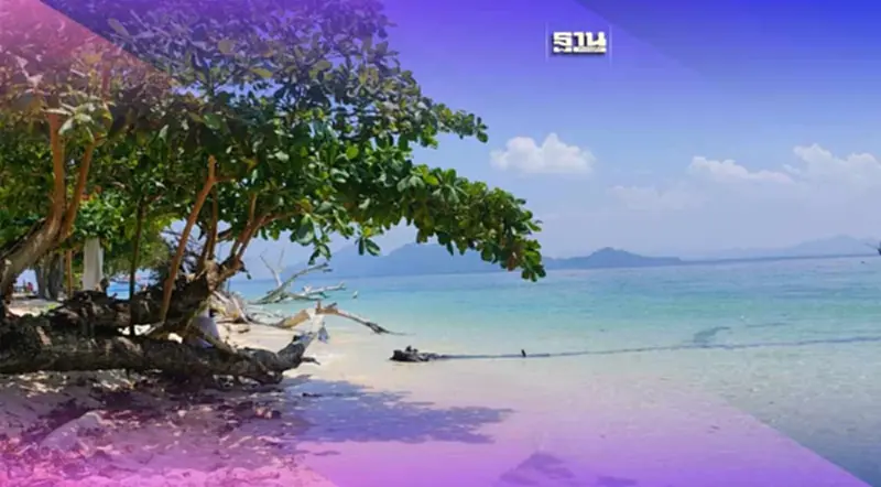 เปิดเบื้องหลังความสำเร็จ"เกาะกระดาน"สู่ที่1ของโลกอย่างยั่งยืน เปิดเบื้องหลังความสำเร็จ"เกาะกระดาน"สู่ที่1ของโลกอย่างยั่งยืน