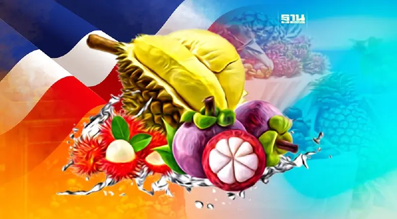 ไทย ครองแชมป์อันดับ 1 ส่งออกผลไม้ไปจีน