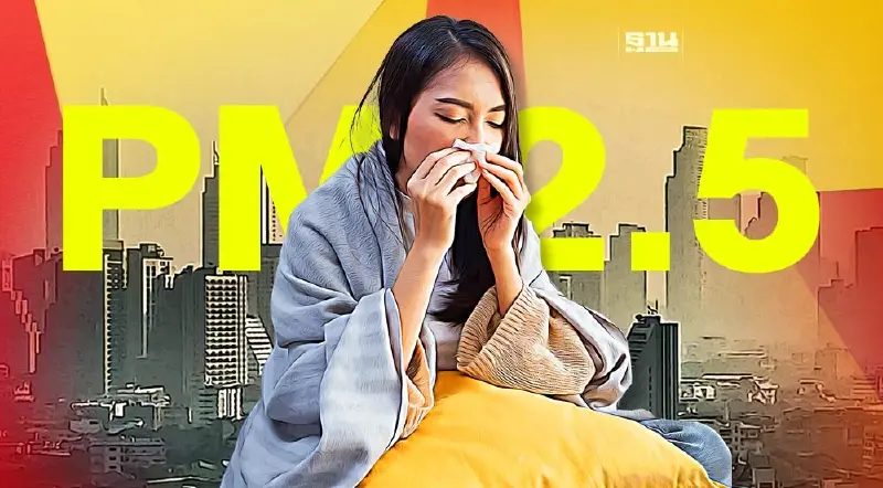 "PM 2.5" ส่งผลเสียต่อสุขภาพระยะยาวยังไงบ้าง น่ากลัวแค่ไหน เช็คเลย