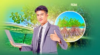 อบก.เร่งขับเคลื่อน Blue Carbon หนุนดูดซับ CO2 120 ล้านตัน