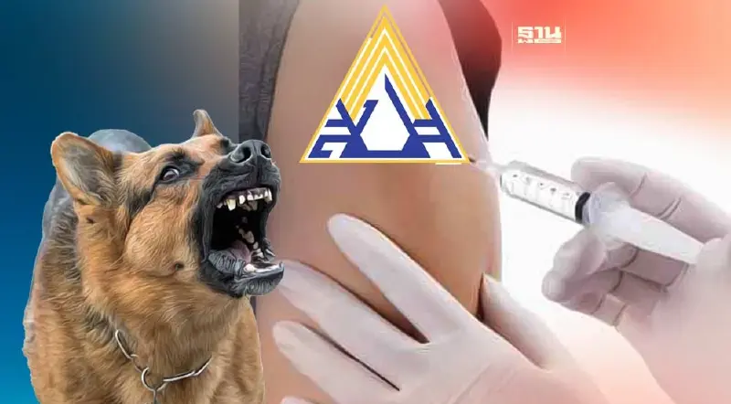 ผู้ประกันตนฉีดวัคซีนป้องกัน "โรคพิษสุนัขบ้า" ฟรี