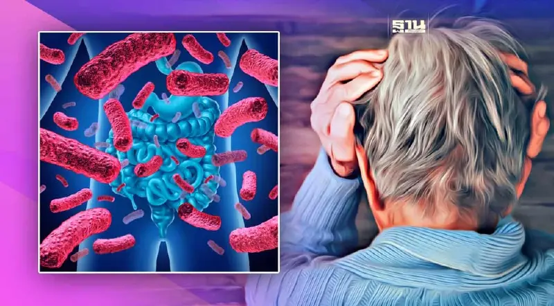 จุลินทรีย์ในลำไส้เกี่ยวข้องยังไงกับสมองเสื่อม น่ากลัวแค่ไหน อ่านที่นี่
