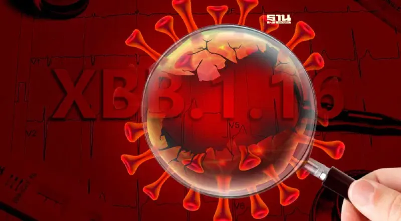 รู้จัก โควิดสายพันธุ่ใหม่ XBB.1.16 อาร์คทูรัส