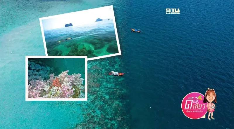 รีวิววันเดย์ทริปเที่ยว "เกาะกระดาน" ชายหาดที่ดีที่สุดในโลก สวยปังมาก รีวิววันเดย์ทริปเที่ยว "เกาะกระดาน" ชายหาดที่ดีที่สุดในโลก สวยปังมาก