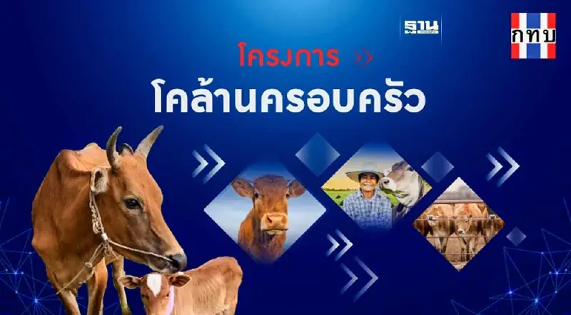 "โคล้านครอบครัว"คืออะไร ช่วยเกษตรได้ยังไง กลุ่มไหนมีสิทธิ์เช็คเลย
